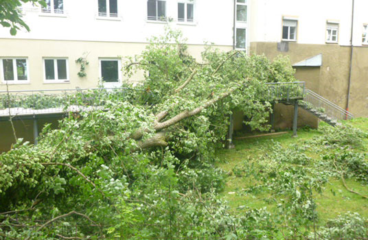 Elementar- und Sturmsanierung